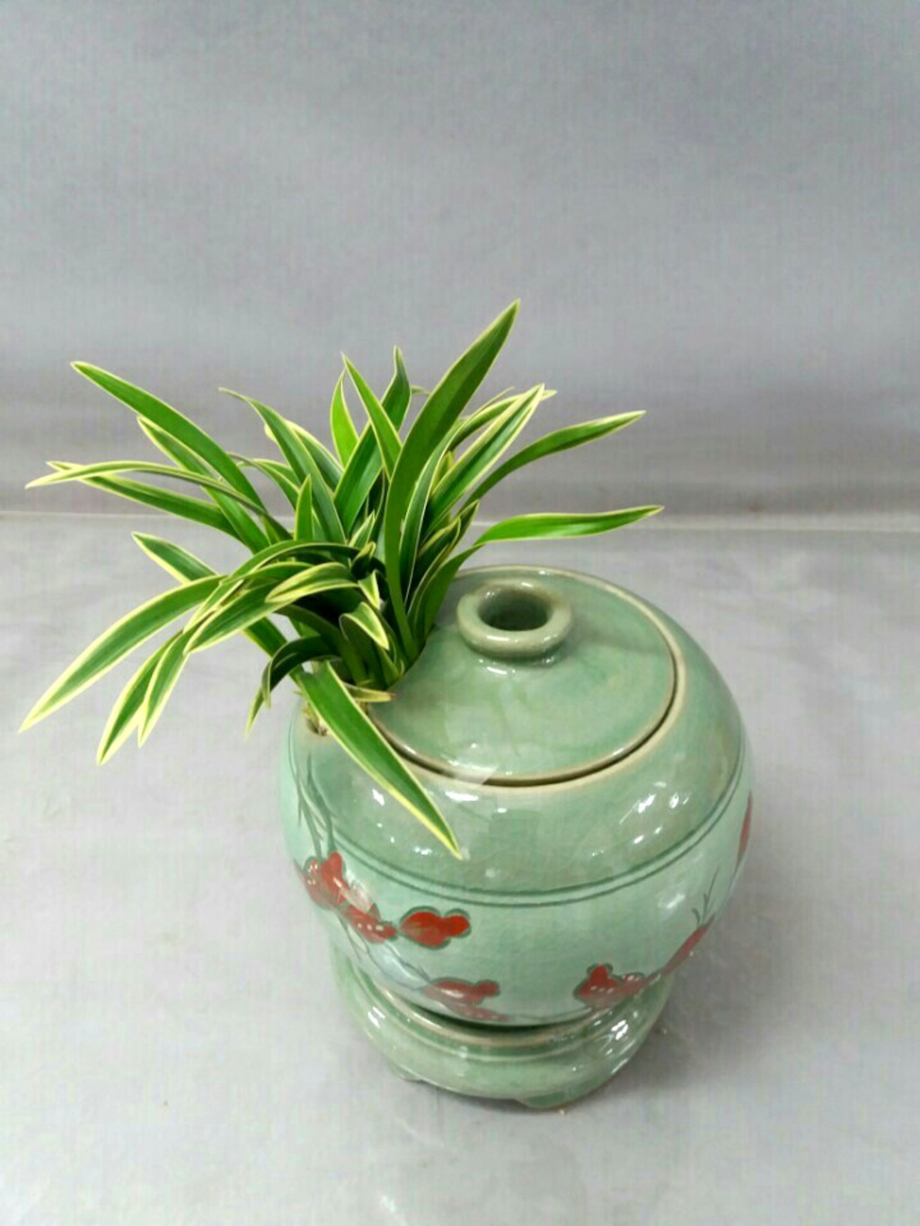 대국항아리