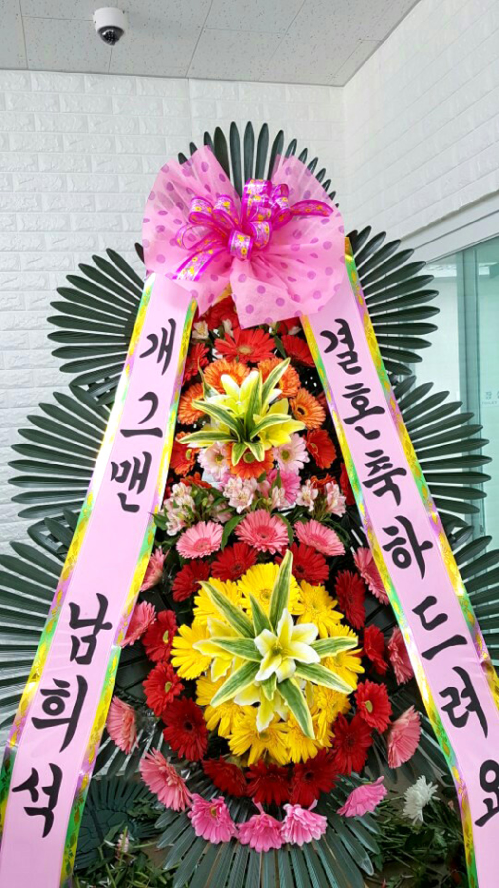 축하3단화한