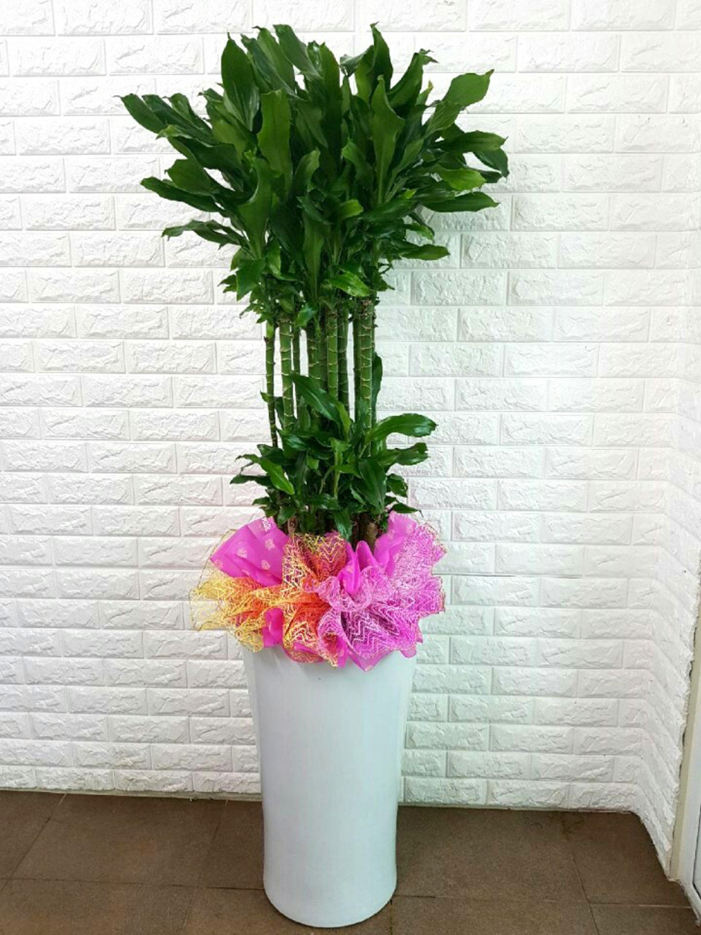 황금죽